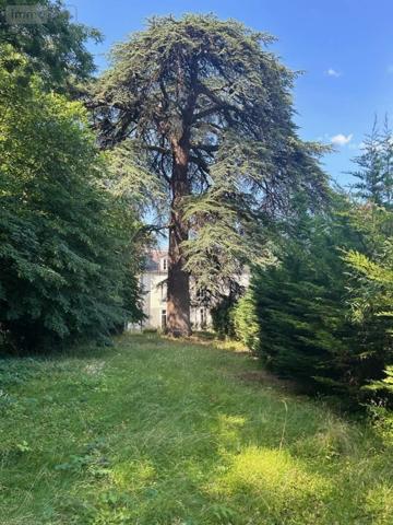 Propriete à vendre à Saint-Avertin dans l'Indre-et-Loire (37550), ref : 37037/287B