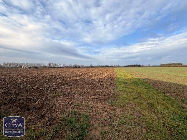 Terrain à vendre Montastruc (82130)
