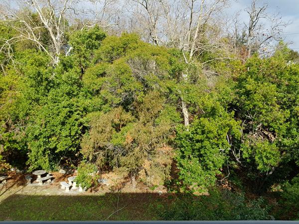 Marseille 13014 A VENDRE Appartement de 2 pièces avec garage fermé spécial investisseur