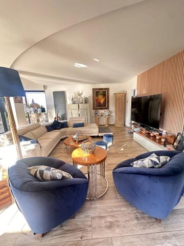 Vente                                                      Villa
                        
                     7 pièces                      253 m2                     à Viarmes