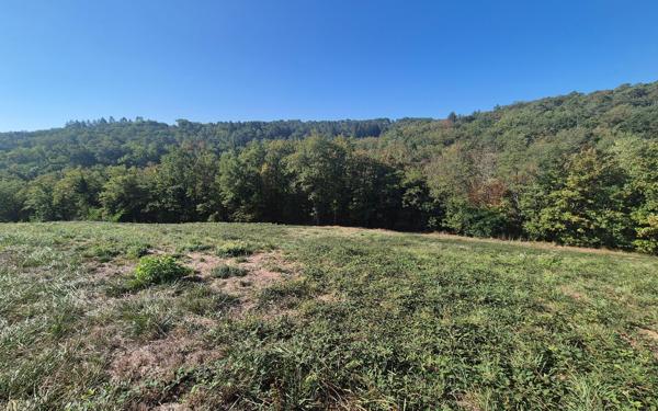 Terrain à vendre