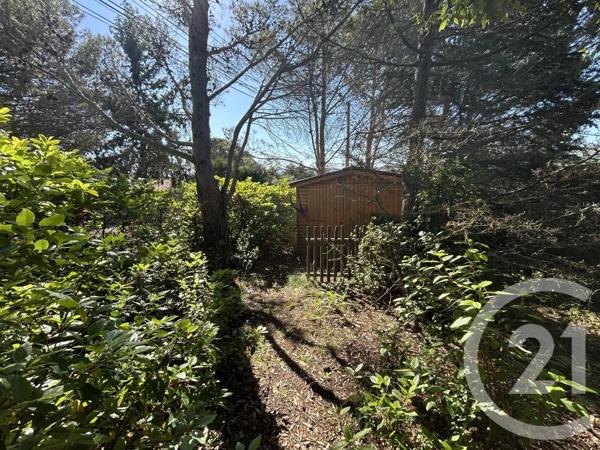 Maison à vendre  5 pièces - 181 m 2   LIMOUX  - 11