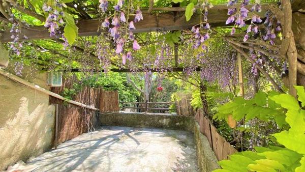 Appartement Aubignosc 50m2