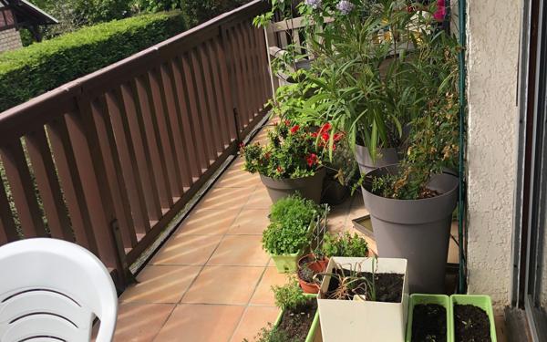 Appartement à vendre    2 pièces • 53,14 m2 Cabourg