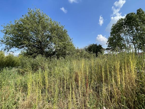 Terrain à SAINT IGNAT (63720)