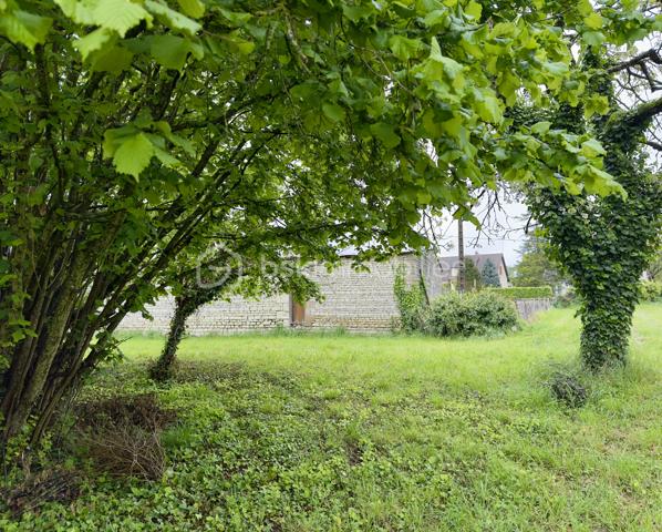 Beau Terrain constructible en plein cœur de St Gervais les Trois Clochers

Terrain semi clôturé et arboré, Parcelle de 1 308 m² issu d'une division parcellaire.

façade sur voirie de 5 mètres environ correspondant à la largeur du chemin privé rattaché à la parcelle. 

La parcelle est à viabiliser, réseaux en bordure de voirie dont Tout à l'Egout.

Certificat d'urbanisme validé, division parcellaire enregistrée, bornage réalisé en Mai 2026.

Etude de sol G1 réalisée également.
