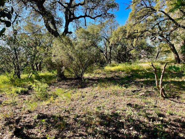 Mandelieu-la-Napoule (06210) Rare terrain vue mer secteur calme et résidentiel