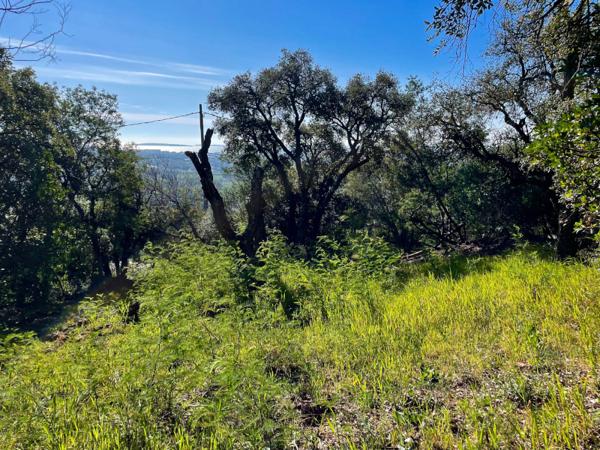 Mandelieu-la-Napoule (06210) Rare terrain vue mer secteur calme et résidentiel