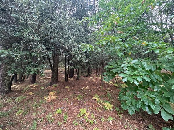 Opportunité rare à ne pas manquer