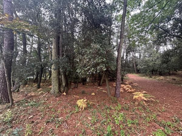 Opportunité rare à ne pas manquer