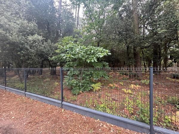 Opportunité rare à ne pas manquer