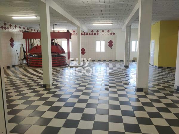 CAVE VITICOLE DE 423 m² LOUÉE - INVESTISSEMENT LOCATIF