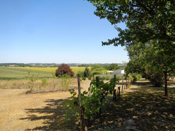 Splendide propriété de campagne, 2 maisons, 206 m² habitables au total, terrain de  7142 m², piscine.