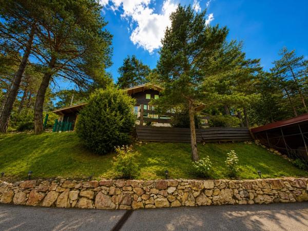 Maison bois 181 m² + maison indépendante 48 m² –  à vendre 7 pièces  ANDON (06)