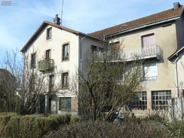 Achat - Immeuble | Local mixte (Pro/Hab) Rambervillers 88700 10 pièces 280 m 2 450 m 2