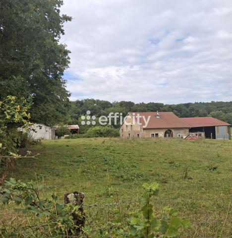 Terrain - 1000 m² Exclusivité efficity