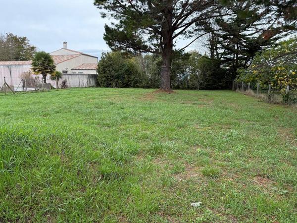 Dept 17 - Saint Georges d'Oléron - Terrain Constructible 784 m²