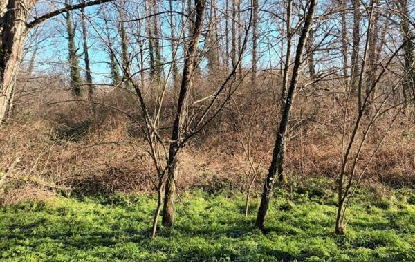 Vente Terrain Non-constructible Villandraut