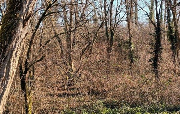 Vente Terrain Non-constructible Villandraut