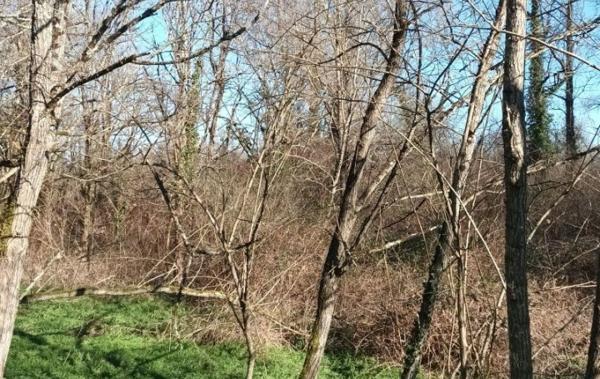 Vente Terrain Non-constructible Villandraut
