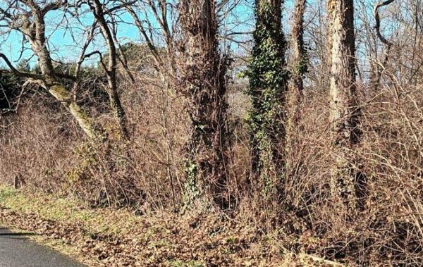 Vente Terrain Non-constructible Villandraut