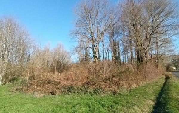 Vente Terrain Non-constructible Villandraut
