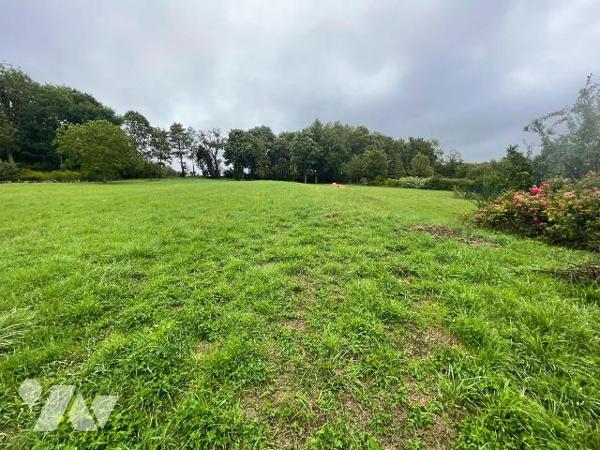 A VENDRE ST MICHEL SUR TERNOISE 62130 : Terrain de 8258m² avec possibilité 6 constructions ,CU ...