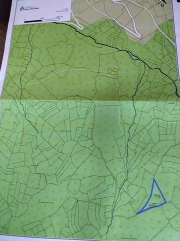 Terrain rare
