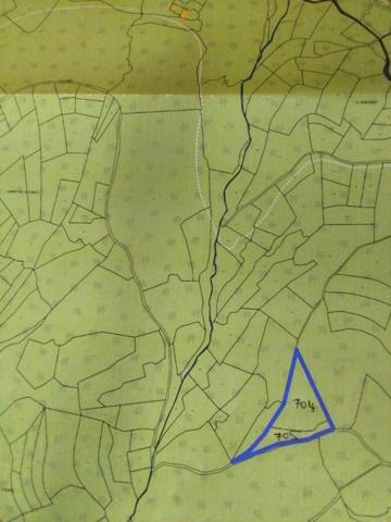 Terrain rare