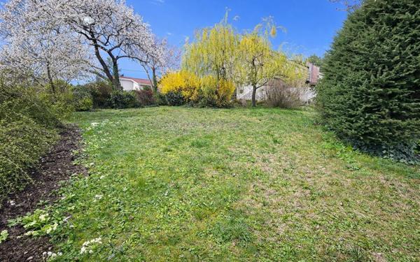 Terrain à vendre    Saint-Martin-la-Plaine