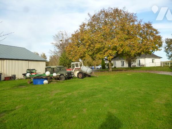 Pavillon plain pied 125 m². 
Hangar.
Terrain sur 4698 m²