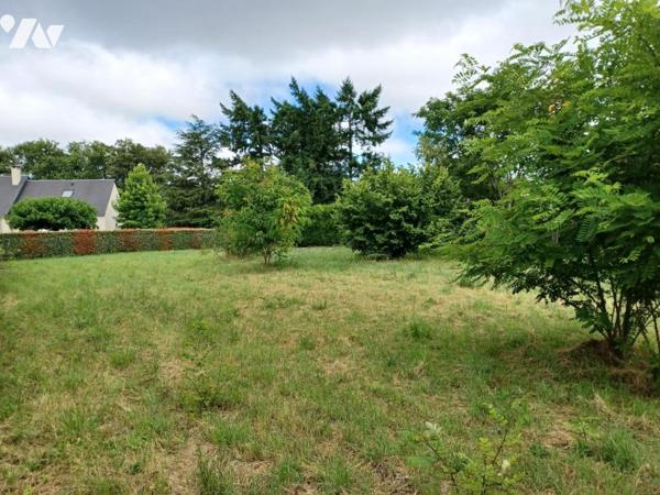 Terrain à bâtir Chinon