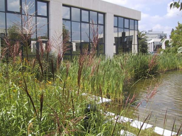 BUREAUX - CCR SAINT QUENTIN EN YVELINES