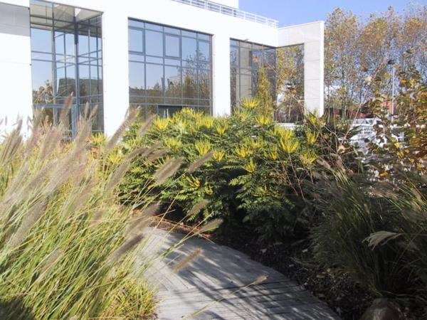 BUREAUX - CCR SAINT QUENTIN EN YVELINES