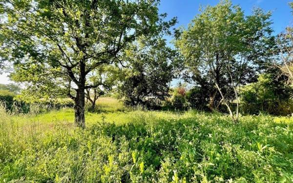 Terrain à vendre    Plaisance-du-Touch