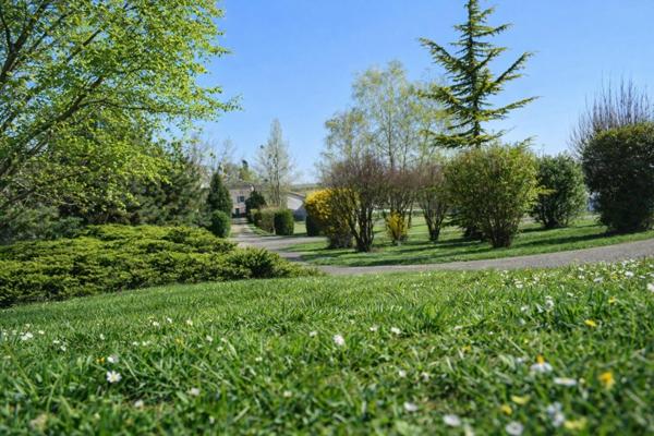 Villa de caractère – 295 m² – Terrain 5 000 m² dont 3 000 m² constructibles – Prissé
