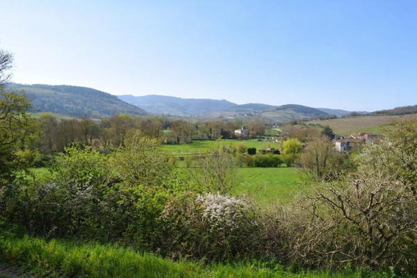 Villa de caractère – 295 m² – Terrain 5 000 m² dont 3 000 m² constructibles – Prissé