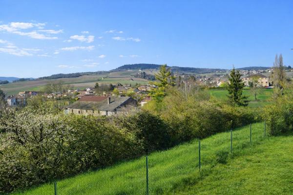 Villa de caractère – 295 m² – Terrain 5 000 m² dont 3 000 m² constructibles – Prissé