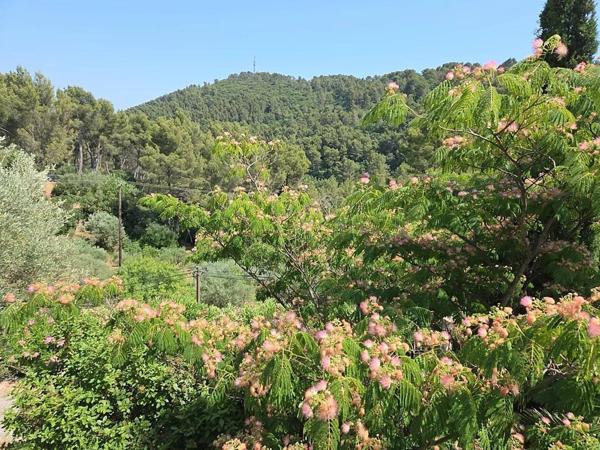 Maison T4, 3 chambres. Vous cherchez une maison à Sollies-Ville avec terrain?