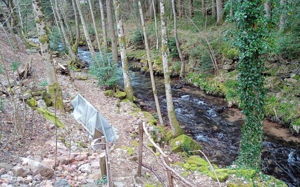 Maison à vendre    8 pièces •  Moussey