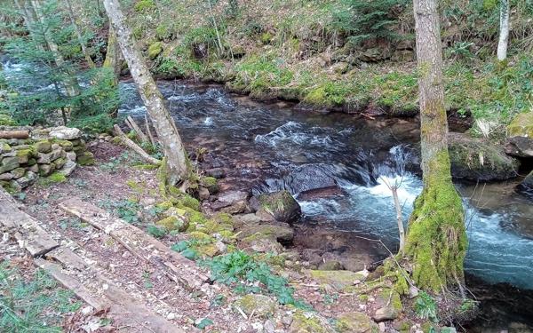 Maison à vendre    8 pièces •  Moussey