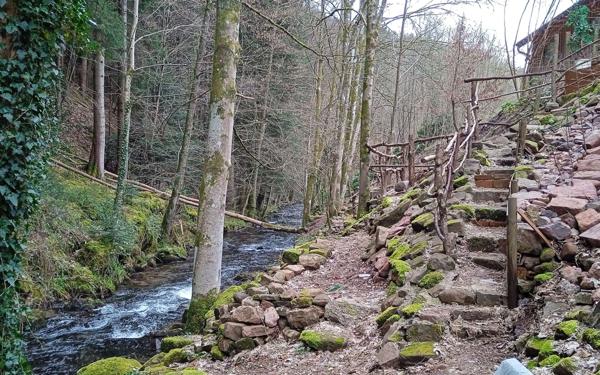 Maison à vendre    8 pièces •  Moussey