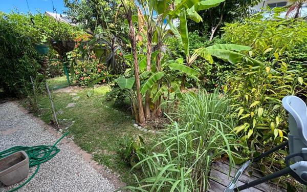 Appartement à louer    4 pièces •  Cayenne