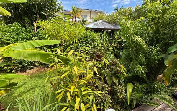 Appartement à louer    4 pièces •  Cayenne