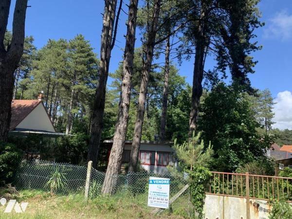 Terrain de loisirs avec chalet