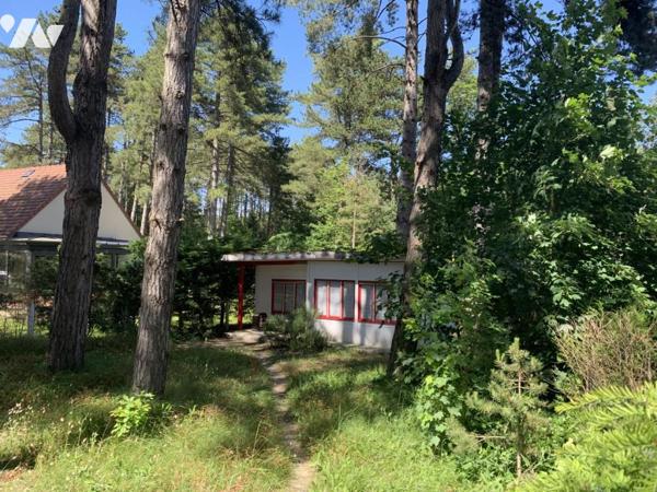 Terrain de loisirs avec chalet