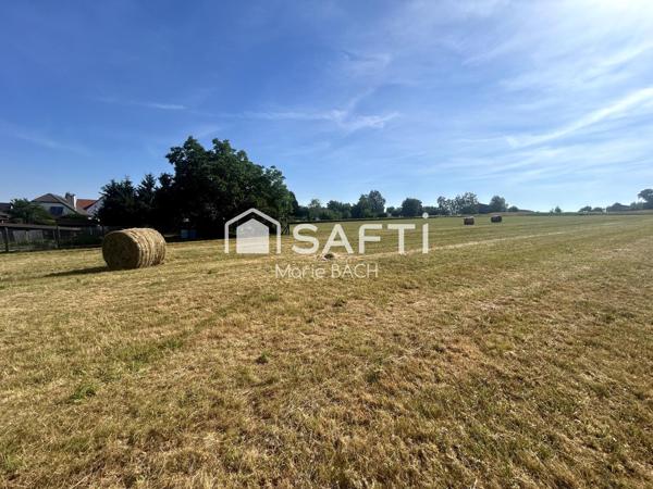 Terrain de construction