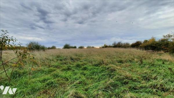 Exclusif fermette Luçay le Mâle (36)