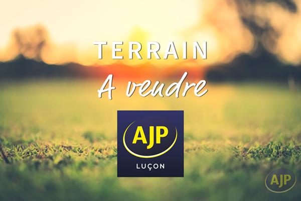 Vente terrain Lucon : 50 000 € - AJP Immobilier Luçon