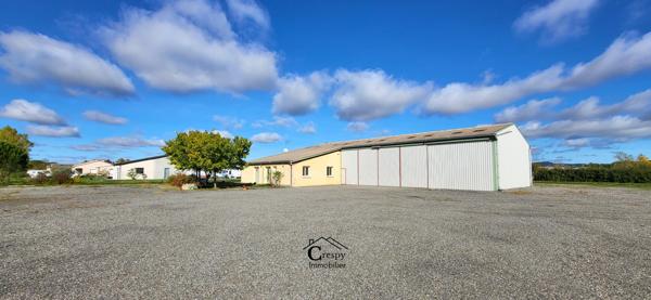 Vente / Local Industriel / Bâtiment